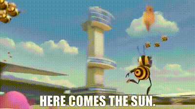 YARN | Here comes the sun. | Bee Movie (2007) | Video clips by quotes |  e9633c77 | 紗
