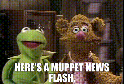 YARN | Here&#39;s a Muppet news flash. | The Muppet Show (1976) - S01E05 Rita  Moreno | Video gifs by quotes | e973abd4 | 紗