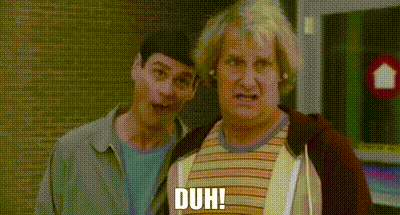 YARN | Duh! | Dumb and Dumber To (2014) | Video gifs by quotes | ed422fd5 |  紗