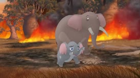 Elephants, stop!