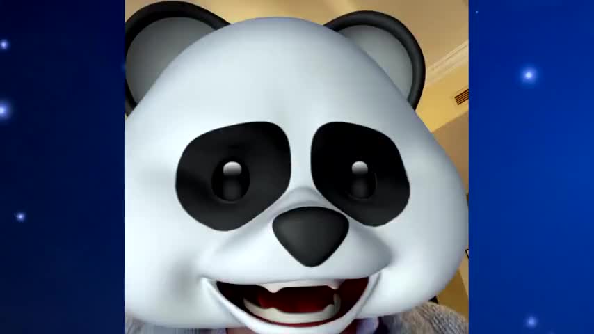 {\an8}[echoing] A panda?
