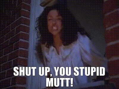 Shut up, you stupid mutt!