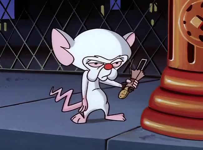 Quiz for What line is next for "Pinky and the Brain "? screenshot