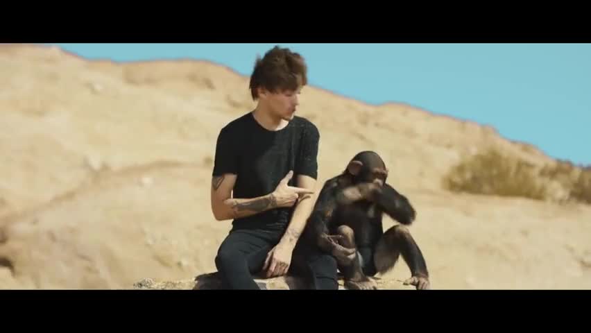 Quiz for What line is next for "One Direction - Steal My Girl"? screenshot